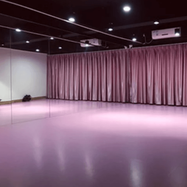 Anti-Slip Gym Flooring for Dancing Room Waterproof PVC Flooring Roll Fireproof Flooring